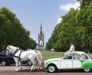 Deux Chevaux William Mackrell