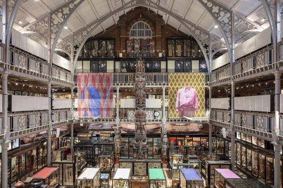 Losing Venus installation at the Pitt Rivers Museum