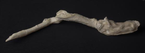 Log cast, 66 x 15 x 9.5cms, handmade khadi paper and wax