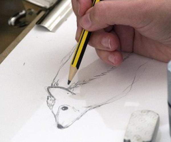 Wildlife Drawing
