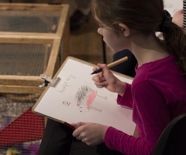 Wildlife Drawing
