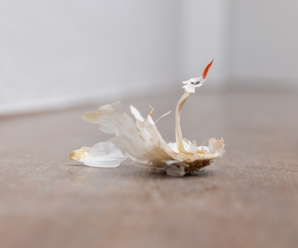 Garlic Swans, 2020