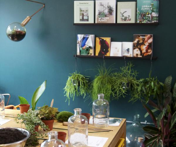 A collection of terrariums on a colourful background