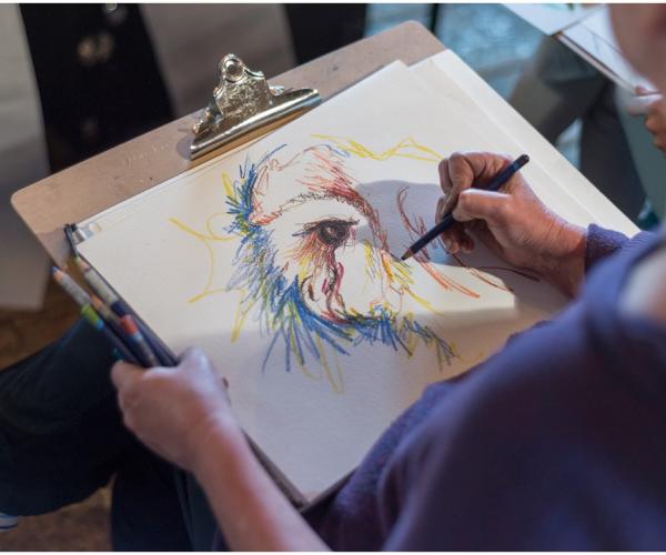 A person drawing a picture of an owl