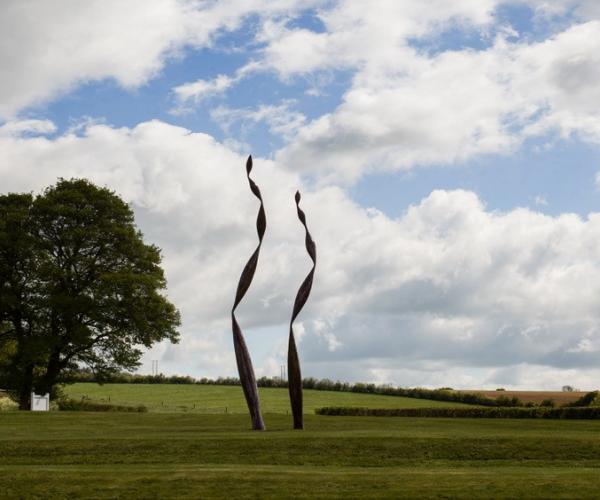 Quercus by Rebecca Newnham