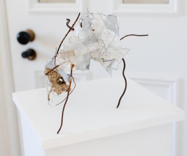 Fiona Campbell - Entangled