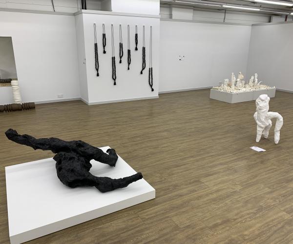 Gilbert Bayes Award Winners 2021 - Exhibition in Chester