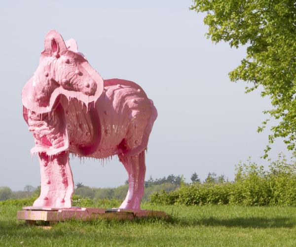 Dopppleganger (Pink Rocinante)