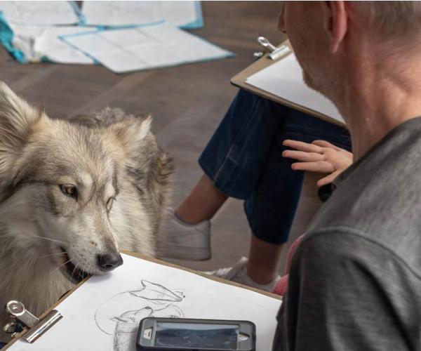 wild life drawing with wolves