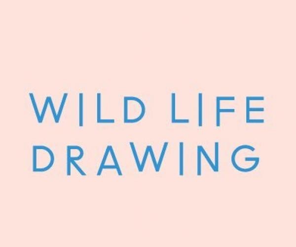 Wild Life Drawing