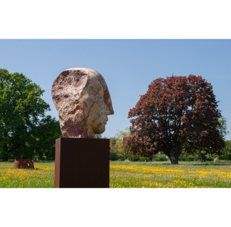 The Royal Society of Sculptors at Thirsk Hall