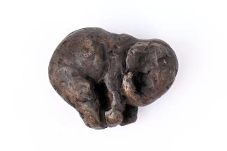 Nicola Hicks FRSS, Baby Elephant Sleeping, 2024