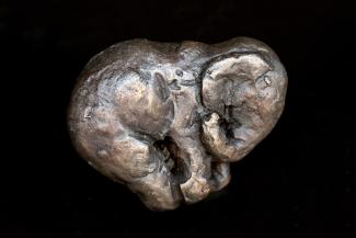 Nicola Hicks FRSS, Baby Elephant Sleeping, 2024