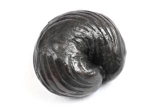 Jacqueline Poncelet, Slug, 2024