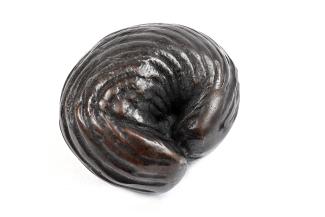 Jacqueline Poncelet, Slug, 2024