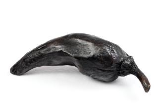 Saad Qureshi, Bullet Chilli, 2024