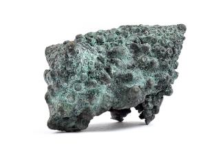 Serena Korda, Romanesco, 2024