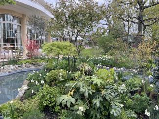 Kensington Roof Gardens