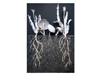 Unearthed Mycelium, ceramic frieze