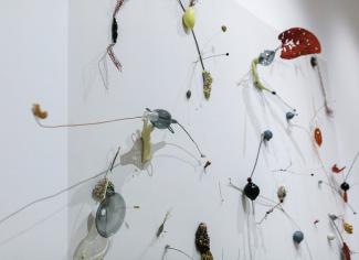 Natural Histories tableau 2022