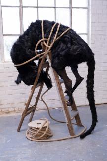 An over-sized cat is seen climbing over a ladder, but someone has tied it down with a large coil of rope