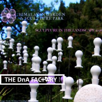 THE DnA FACTORY MRSS exhibiting in 'Sculpture In The Landscape' at the Himalayan Garden & Sculpture Park, 2026
