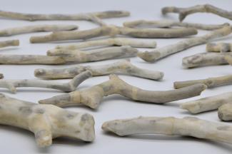 the image show some stick like objects on a flat surface. The appear bone like and resemble an archaeological display 