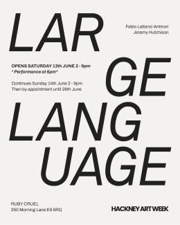 Large Language, flyer of the show
