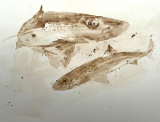 Painting of two dog fish in mud from the river they were spawned in