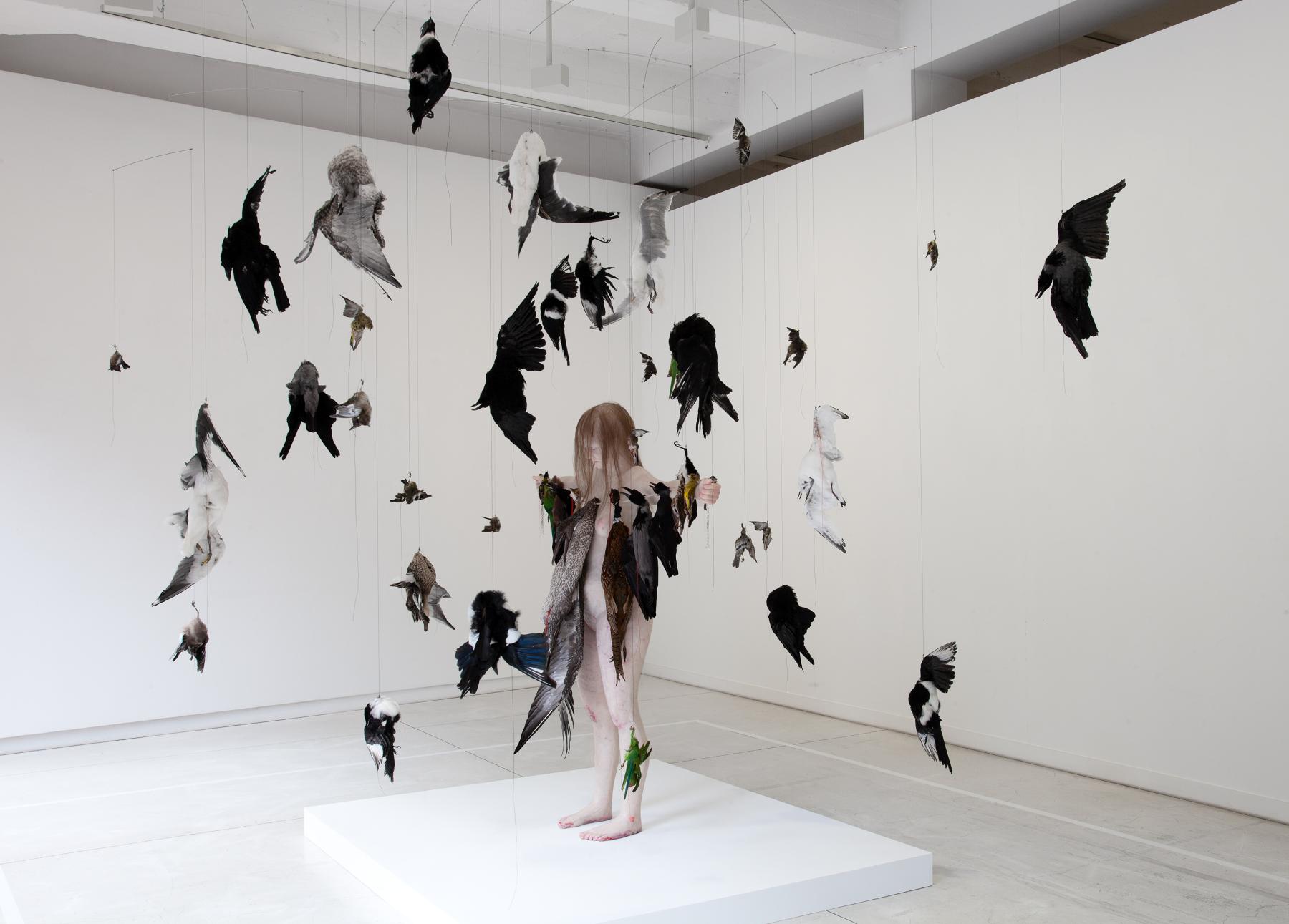 Claire Morgan FRSS | Royal Society of Sculptors