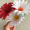 Red and white paper flowers