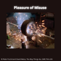 The Pleasure of Misuse