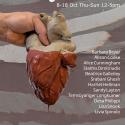 Clay in vivo heart