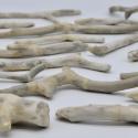 the image show some stick like objects on a flat surface. The appear bone like and resemble an archaeological display 