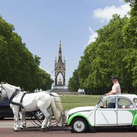 Deux Chevaux William Mackrell