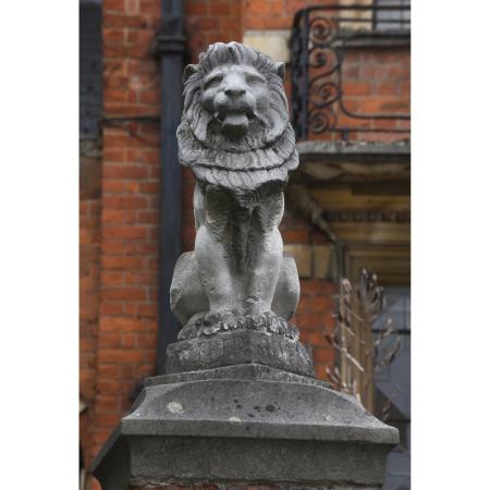 Dora House Lion Statue - Before