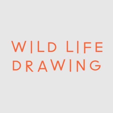 Wild Life Drawing logo in orange font