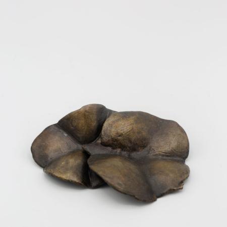 Almuth Tebbenhoff VPRSS, Imprints, 2021