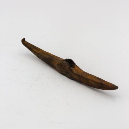 Chris Williams MRSS, Black Gold, 2021