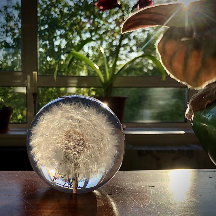 article the importance of sculpture Royal Society of Sculptors